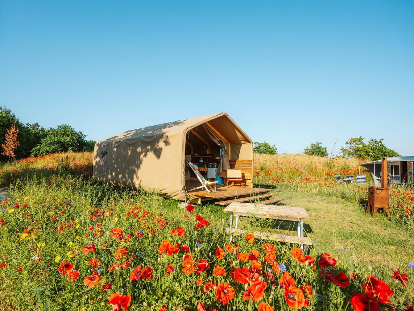 Vakantiepark De Klepperstee Ouddorp Εξωτερικό φωτογραφία